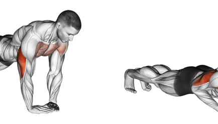 Chest Exercises Push Ups vs Bench Press