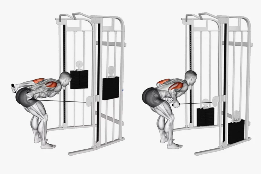Cable Tricep Kickback The Ultimate Exercise for Defined Arms