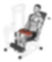 Leg Extensions