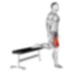 Split Squats