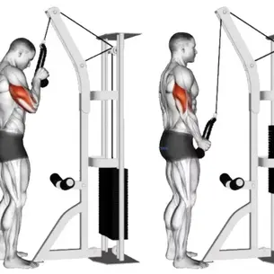 One Arm Tricep Pushdown