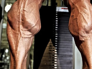 5 Exercícios de Panturrilhas para o Seu Treino de Pernas