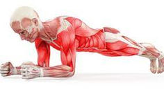 Stop Doing Planks Wrong! The Ultimate Guide to a Bulletproof Core (And Zero Back Pain)