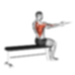 Seated Low Row Exercise