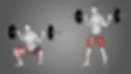 Barbell Sumo Squat Exercise