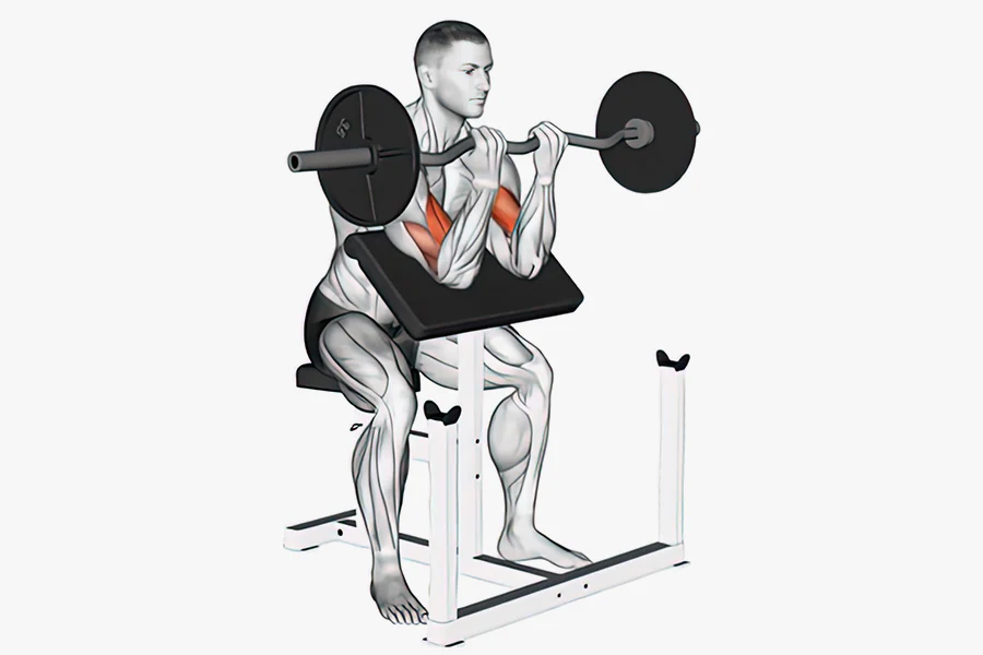 Dumbbell Curls The Ultimate Guide to Sculpted Arms