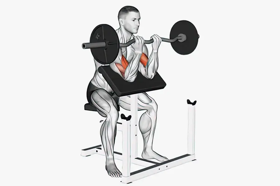 Curl row. Barbell preacher curl. barbel preacher curls. barbell or preacher curls. подъем ez штанги на бицепс на скамье скотта.
