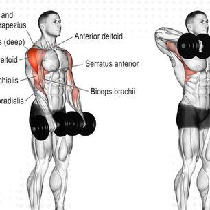 Dumbbell Upright Row: Safe Form, Benefits, Alternatives & Muscles Worked