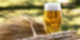 CERVEJA PURO MALTE ENGORDA