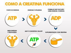 Desvendando o Mito: A Creatina e a Retenção de Líquidos