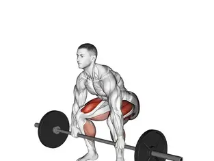Deadlift: How to do it, Muscles Worked and Benefits [2025]