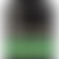 5 Razões para a Creatina Monohidratada ser a Melhor