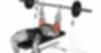 Treino Push/Pull/Legs