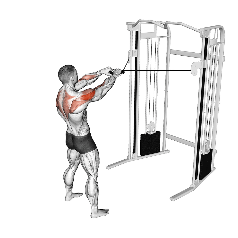 Face Pulls Form Benefits Muscles Worked Common Mistakes Face Pulls Form Benefits Muscles Worked Common Mistakes