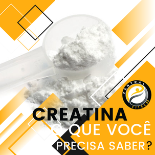 Guia completo sobre creatina