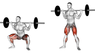 Barbell Sumo Squat Exercise