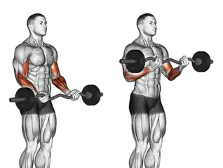 Rosca 21 com Halteres