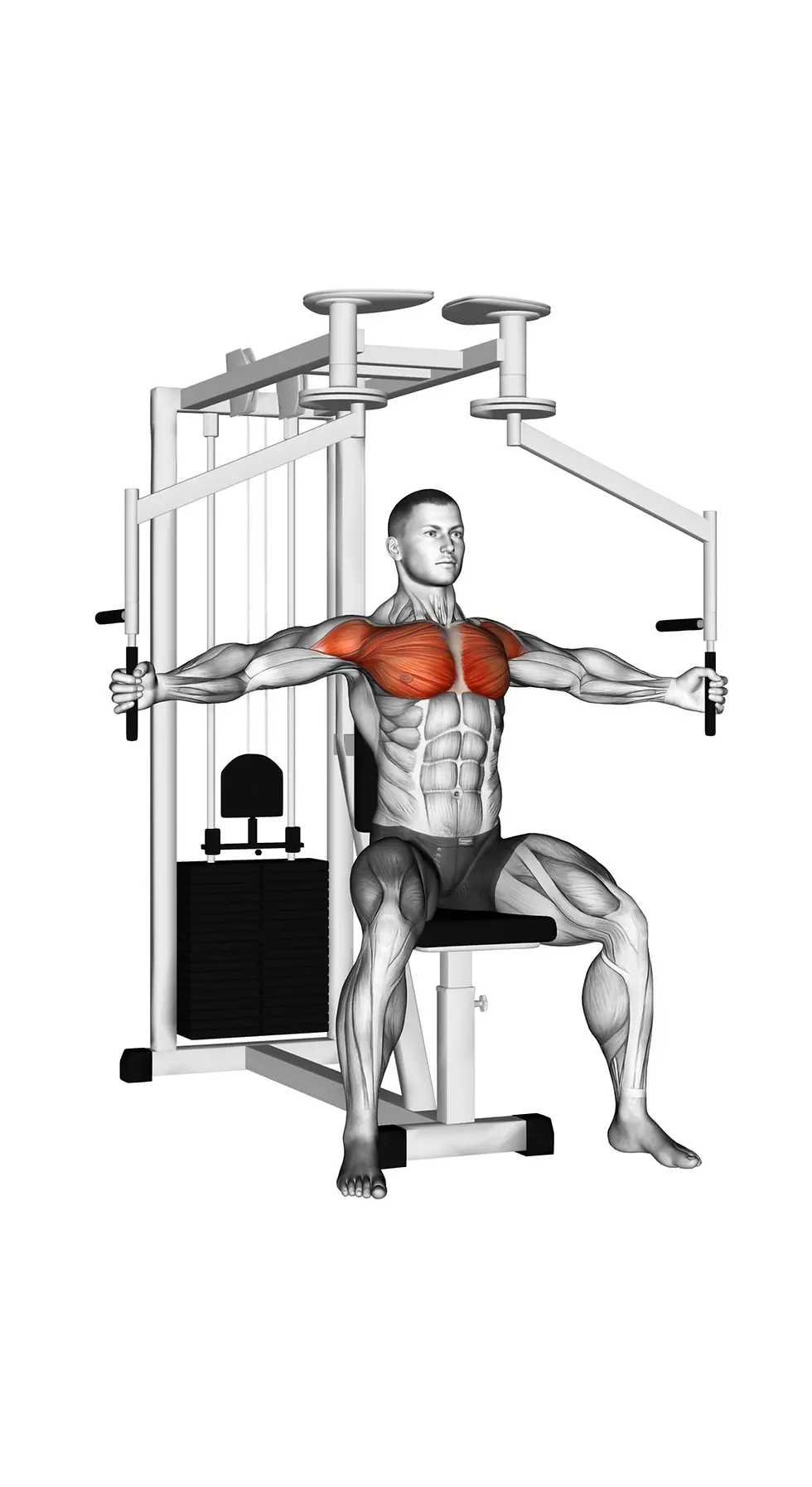 Peck Deck: Tudo o que Você Precisa Saber