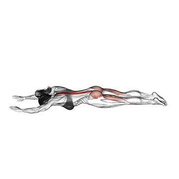 TREINO PARA MULHERES INICIANTES