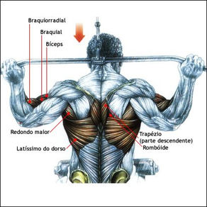 Can't feel your lats working? Are your biceps giving out before your back does? Discover the exact biomechanics to fix your form, protect your spine, and finally build a wide, thick back.