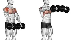 Dumbbell Front Raise: Build 3D Shoulders & Stop Joint Pain