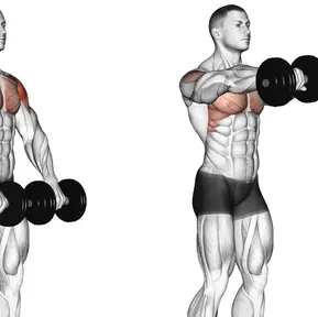 Dumbbell Front Raise: Mastering the Art of Shoulder Training