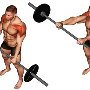 Elevação Frontal: Guia Completo do Exercício