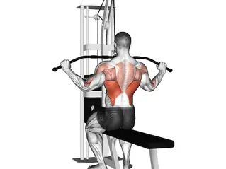Exercício Pull Down: 5 Benefícios Que Você Deve Conhecer Para Costas Gigantes