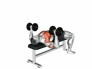 Dumbbell Chest Press: Purpose, How to Perform, and Muscles Targeted