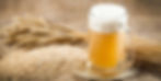 CERVEJA PURO MALTE ENGORDA