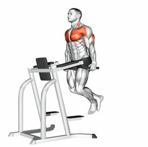 Tricep Dips: Proper Form and Technique