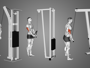 Cable Tricep Pushdowns: How to do it, Muscles Worked and Benefits [2025]