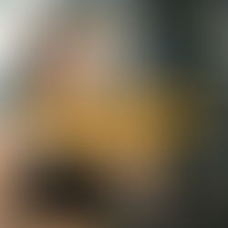 Proteína Vegana: O Poder Nutricional da Natureza para Construir Músculos