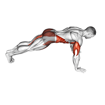 TREINO PARA MULHERES INICIANTES