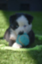 200d8602-8f9f-4dcd-8b21-eff48339f495_edited