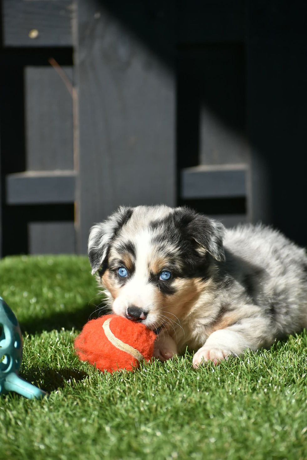 31862c53-5fa5-4d01-a0b2-4178a863363a_edited