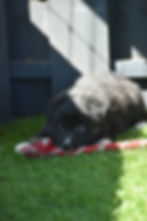 35abec51-0440-4f52-96ae-84098b61263f_edited