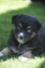 07b864ce-2423-4d0d-b215-e737914f9712_edited