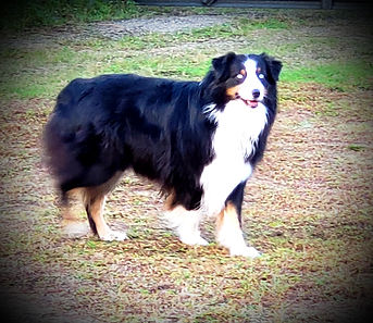 20190128_080159.jpg