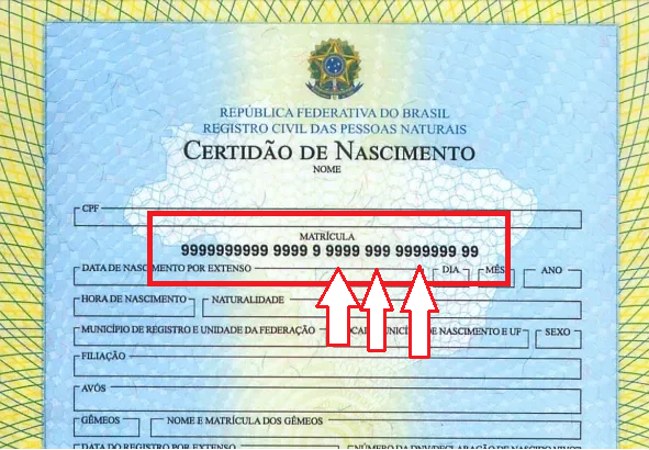 Sem título.png