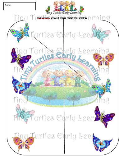 butterflies 2