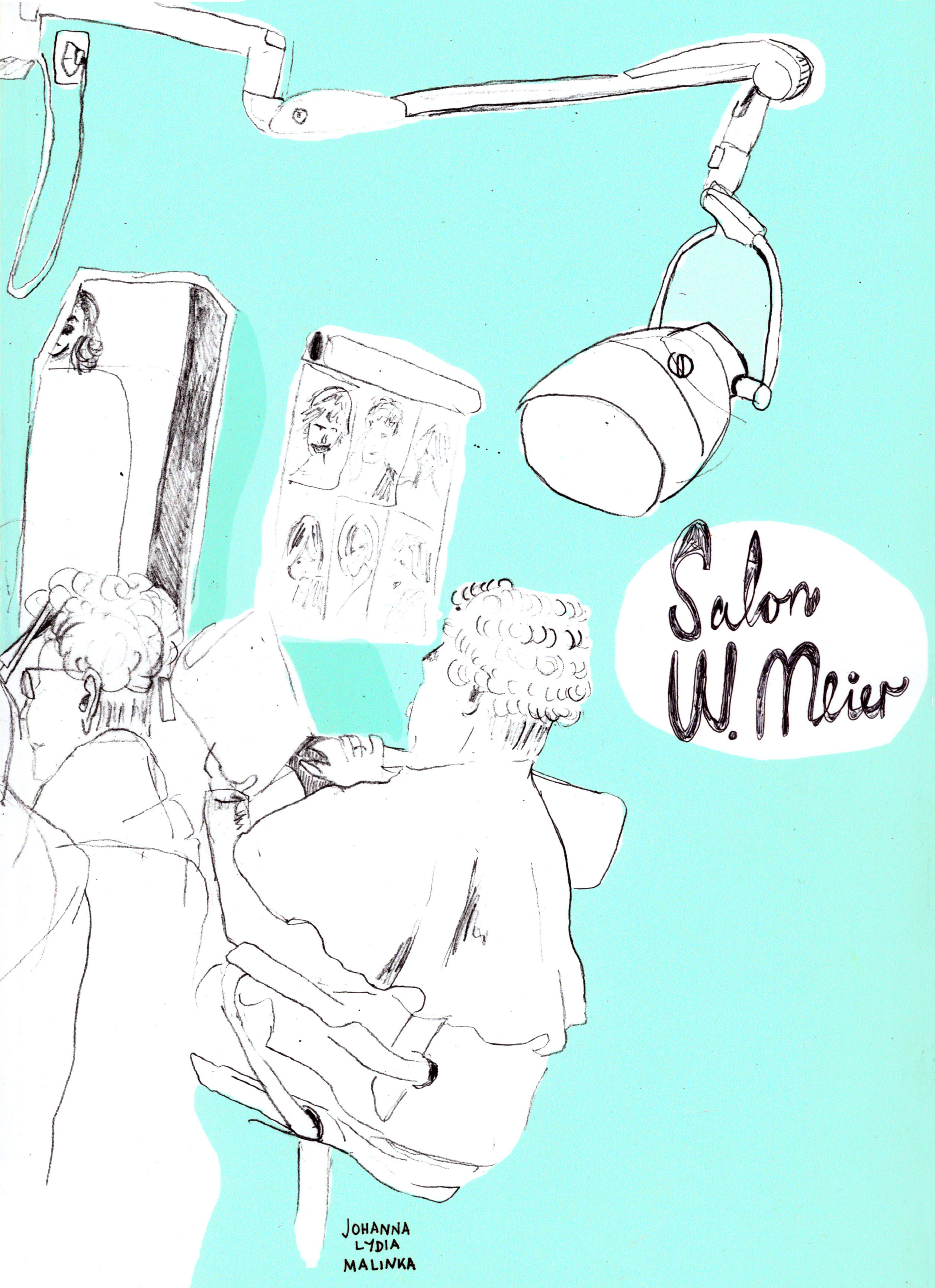 Book, Salon W. Meier