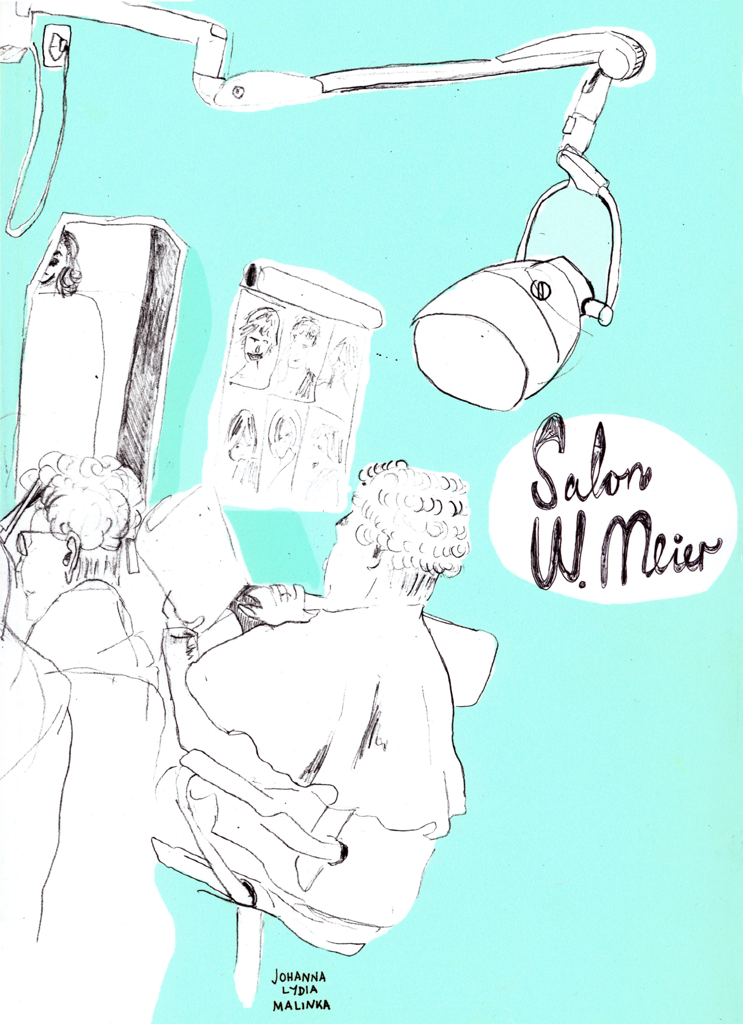 Book, Salon W. Meier