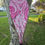Thumbnail: Starboard Enduro Carbon - Model 2024 size M
