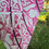 Thumbnail: Starboard Enduro Carbon - Model 2024 size M