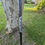 Thumbnail: Starboard Enduro Carbon - Model 2024 size M