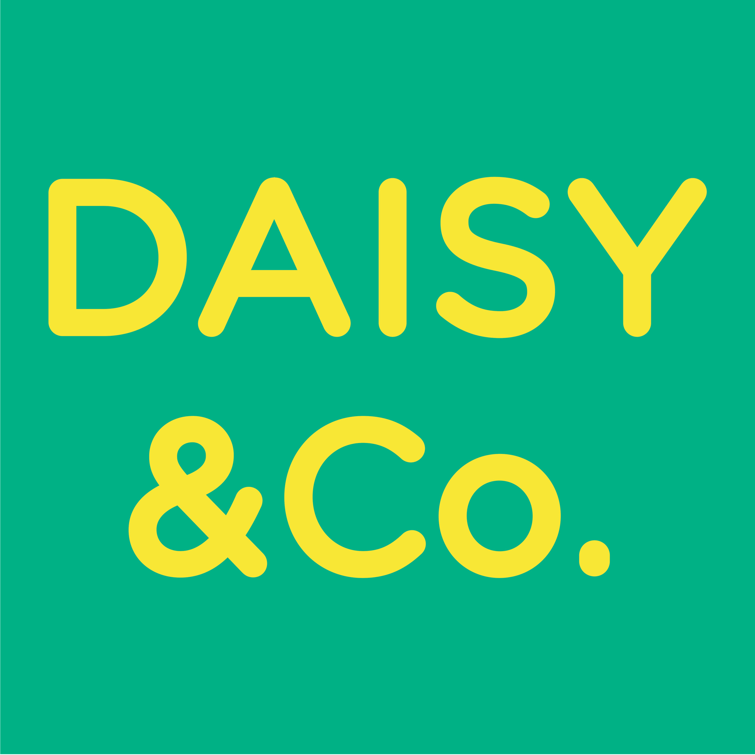 Berkhamsted Daisy&Co.