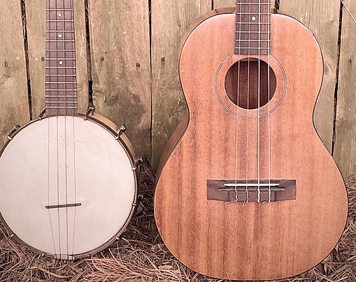 Bluegrass Instruments