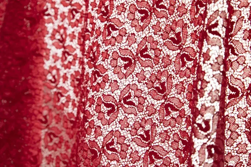 Scarlet Romance Red Stretch Lace