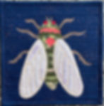 Thumbnail: Design of the Month- Cicada